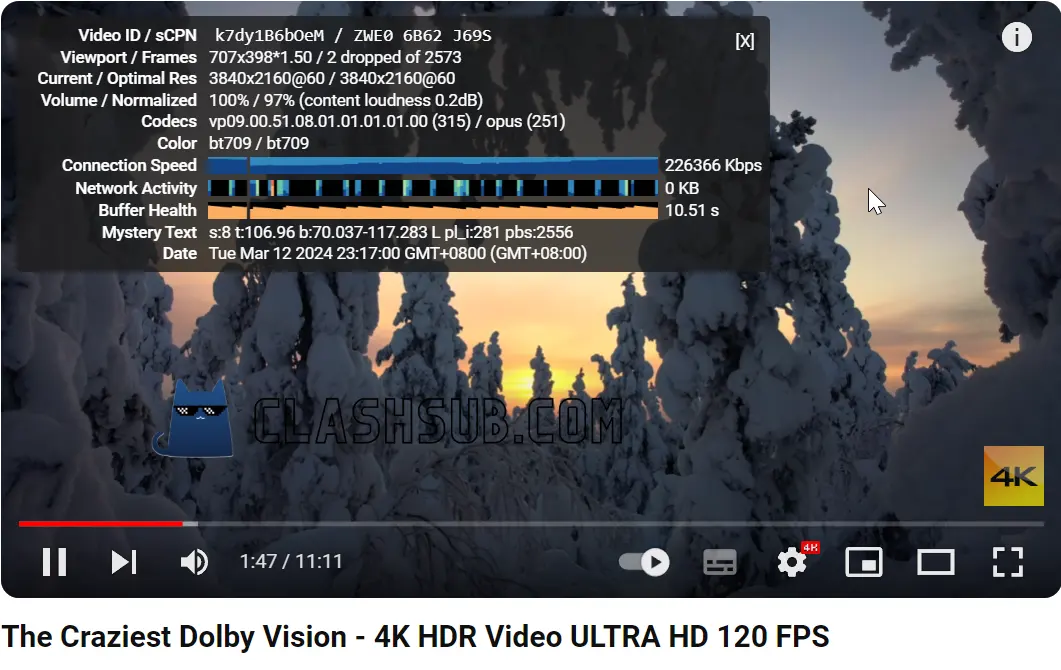 Fastlink 机场 YouTube 4K 播放测试