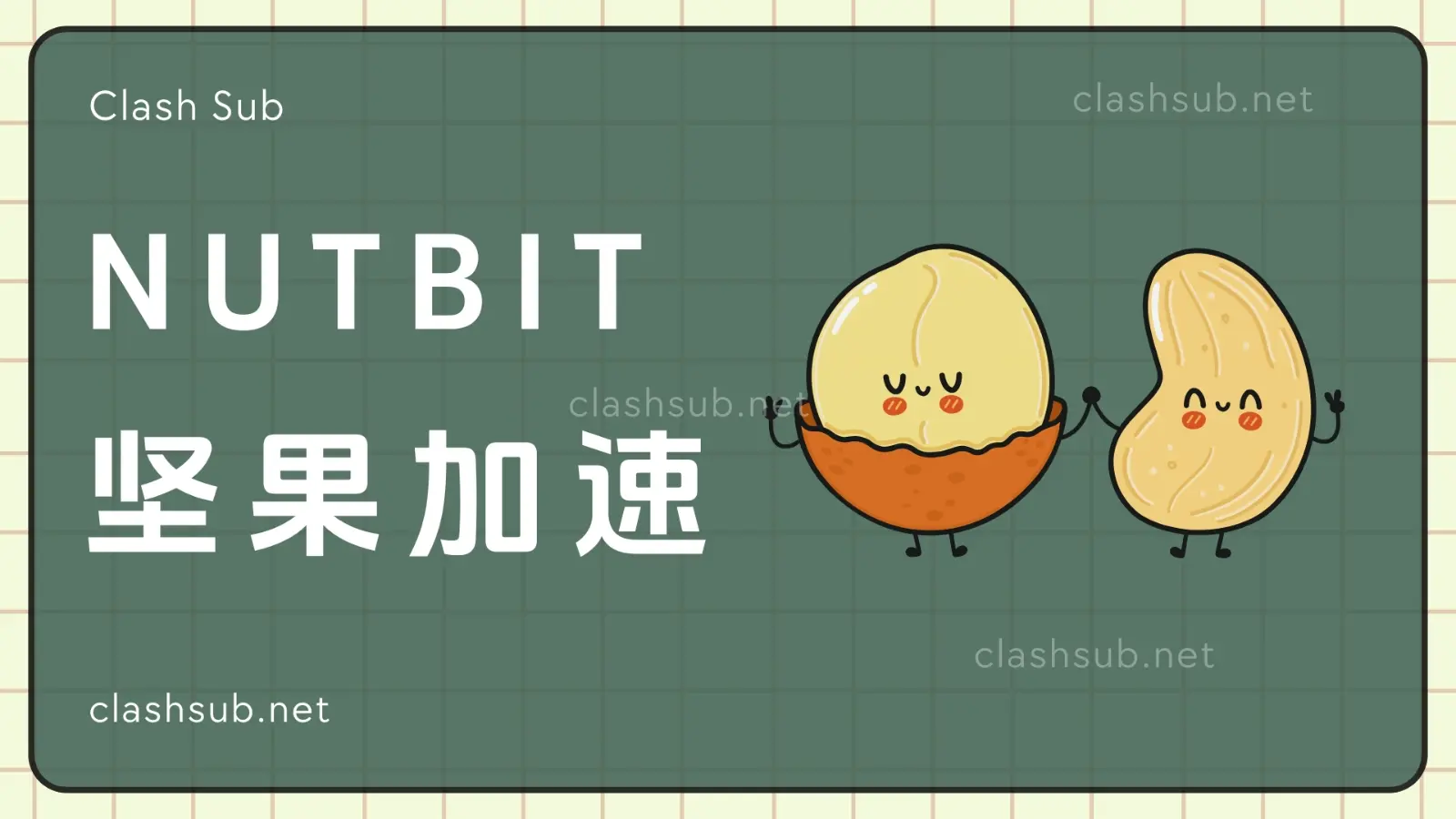 Nutbit 坚果机场推荐