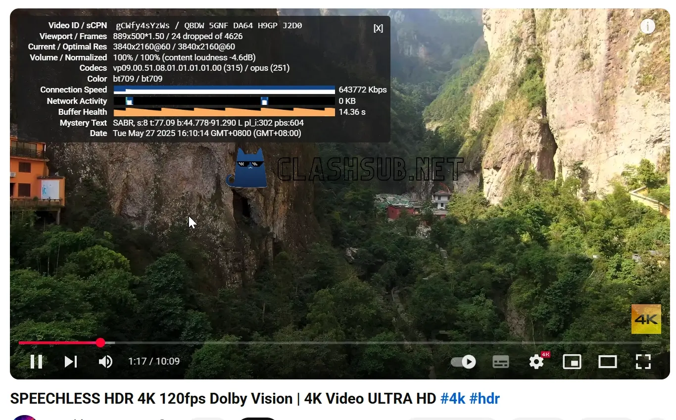 Nyxen Bar 酒馆加速 Youtube 4K 播放测试 Nyxen Bar 酒馆加速 Youtube 4K 播放测试