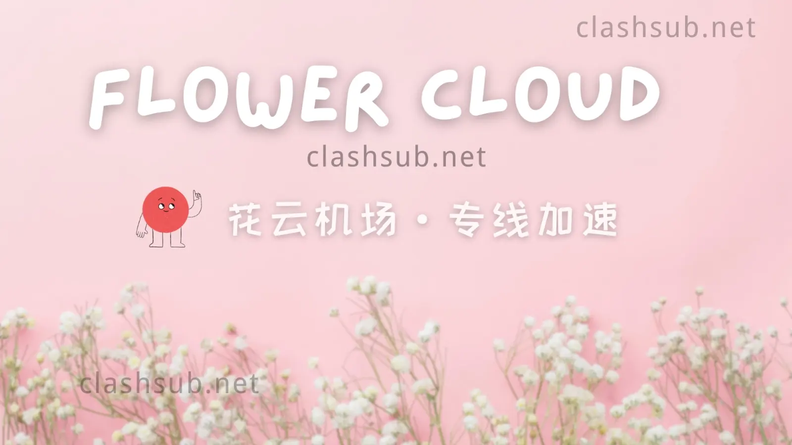 Flower Cloud 花云机场VPN